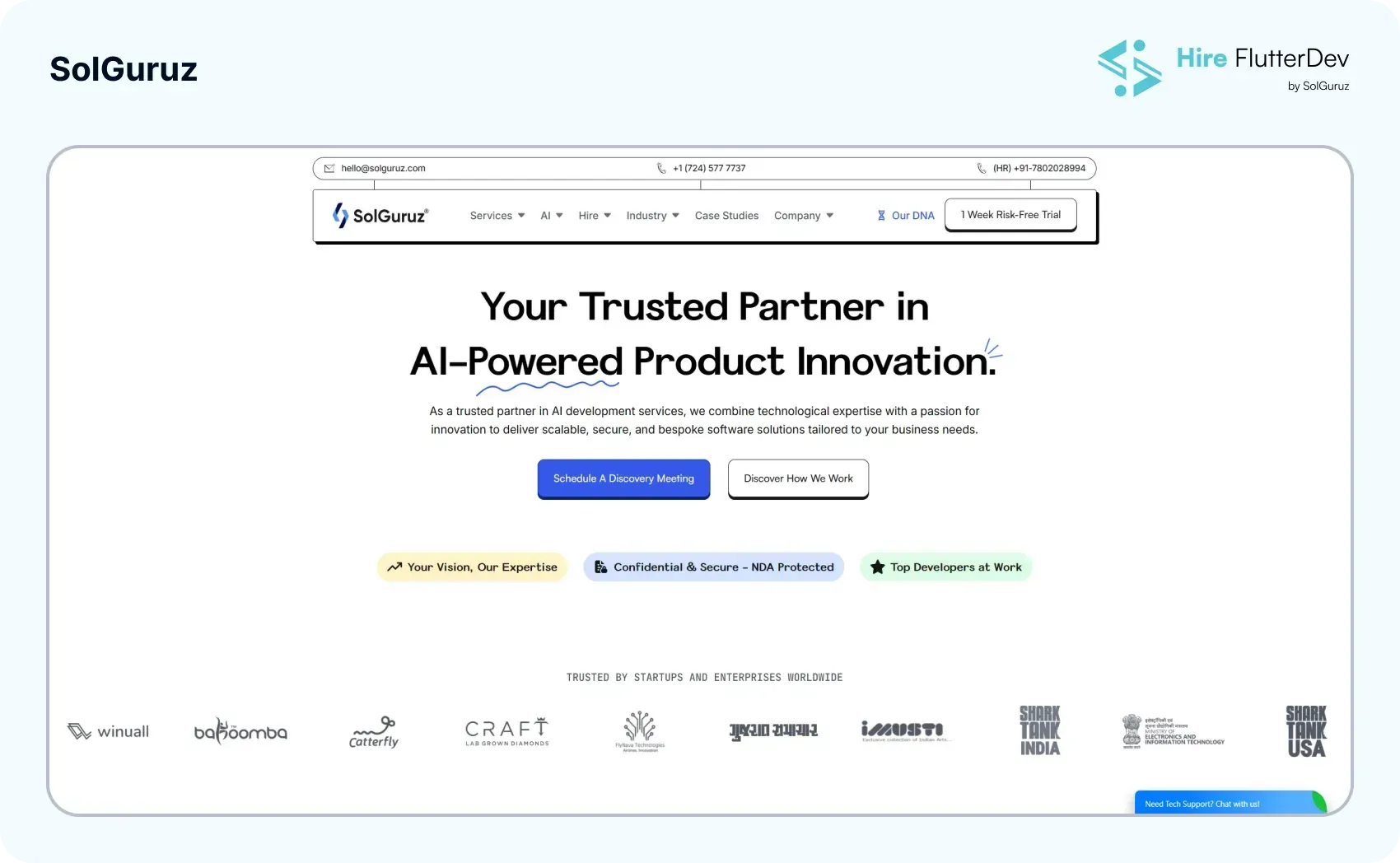 solguruz flutterflow development company